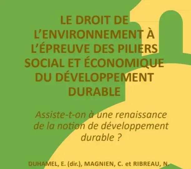 Le droit de l'environnement à l'épreuve des piliers social et économique du développement durable